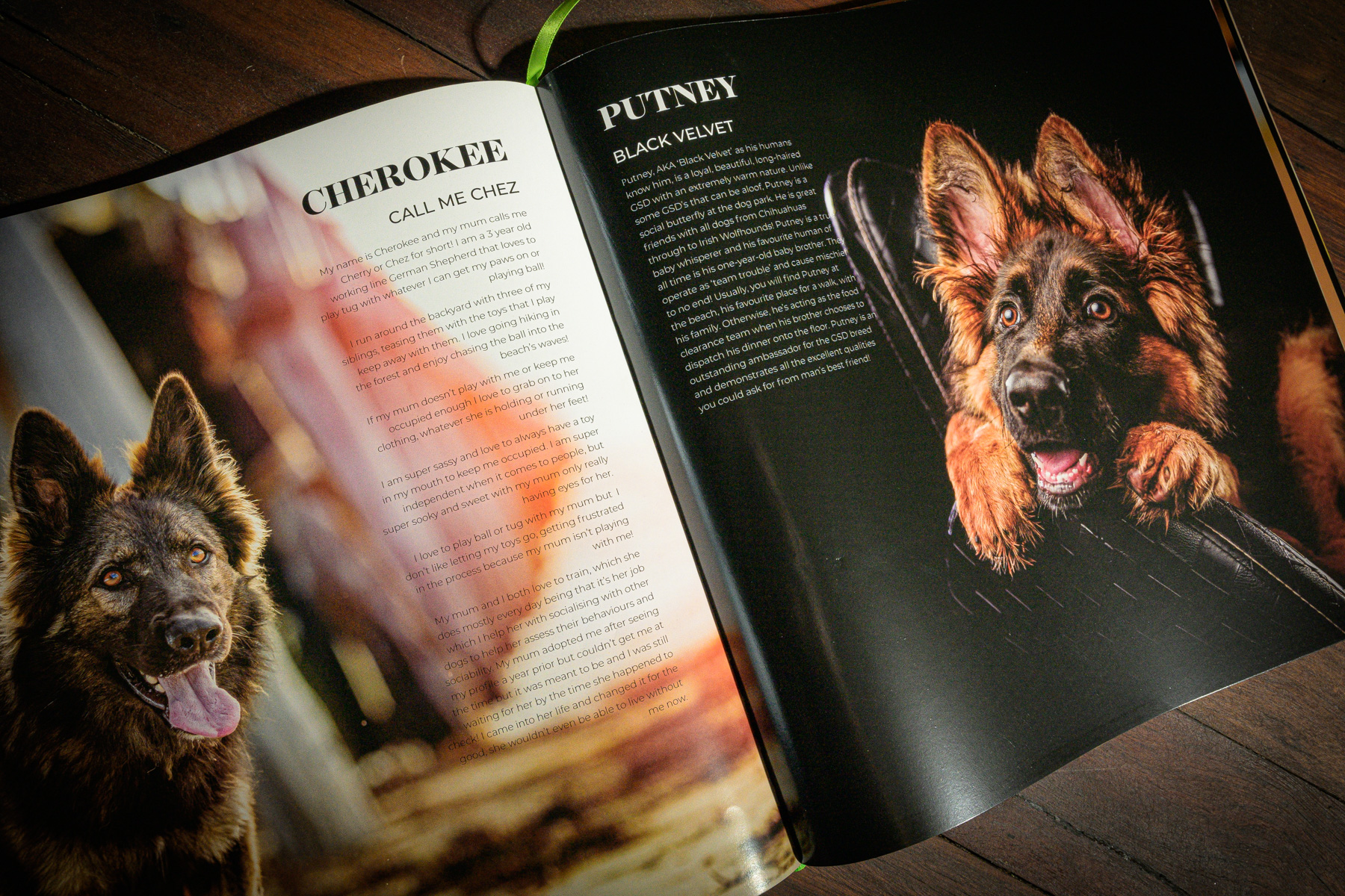 German-shepherds-of-australia-book-inside