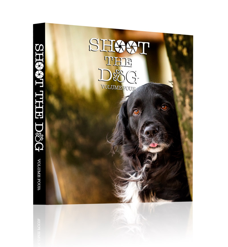 Shoot the-dog-BookCover-V4